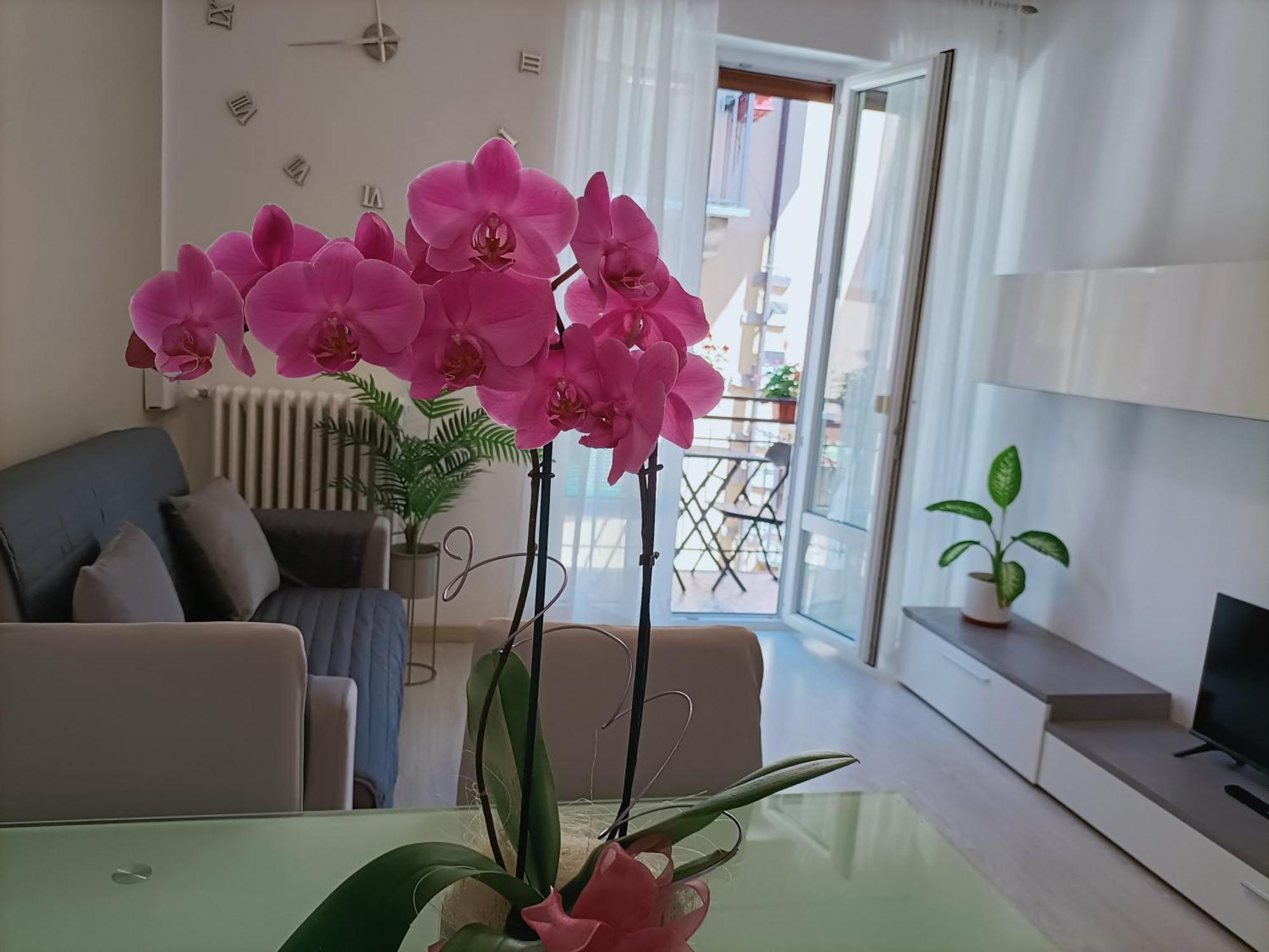 Apartment Jessy 바메노 외부 사진